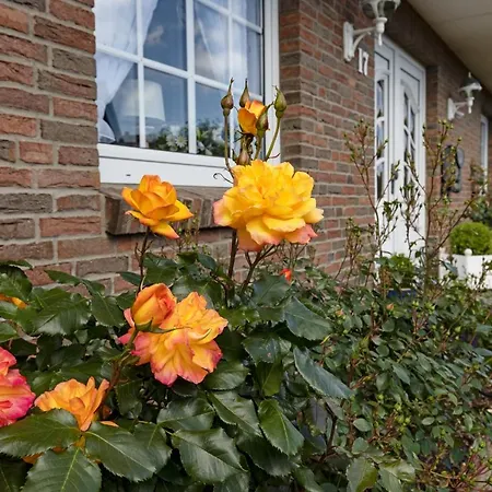 Itueues Koenigshafen Apartament